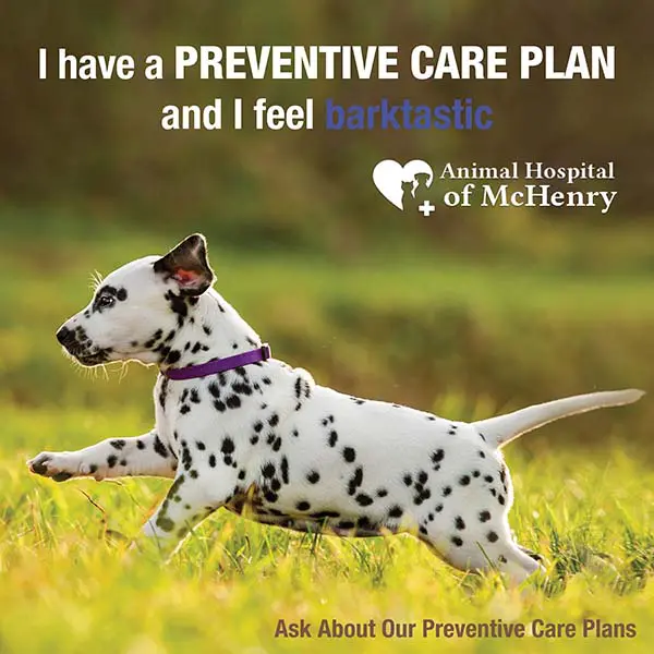 Provided by Covertus - Preventive Care Plan